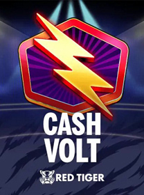 Cash-Volt icon