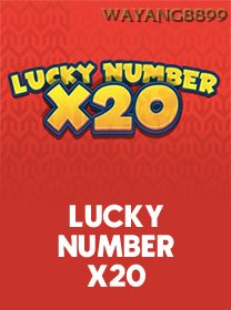 Lucky Number X20 game cover